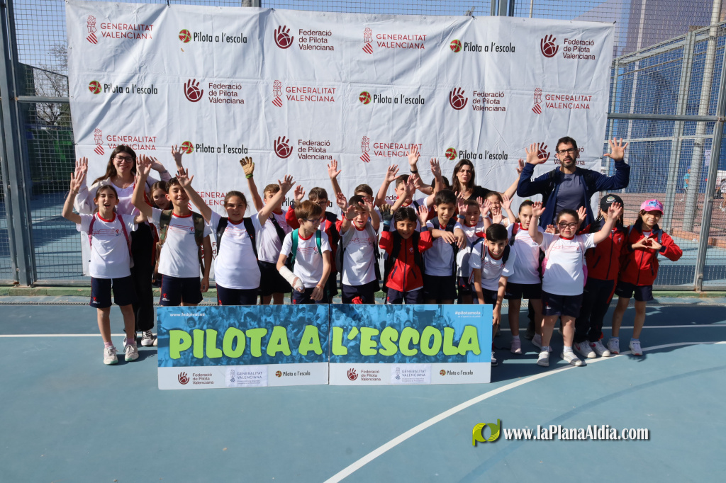 Massalfassar acull una nova edici� de les Trobades de Pilota a l'Escola 2026 amb 550 alumnes de 4t de Prim�ria