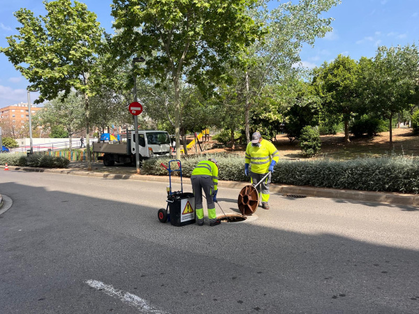 L'Ajuntament de la Vall d'Uix� inicia una campanya intensiva contra rosegadors i insectes davant de la proximitat de l'estiu