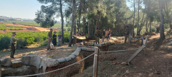 Almenara tanca el cicle 'Connectant amb la Mem�ria Democr�tica' amb la projecci� de la pel�l�cula 'La invasi� dels b�rbars'