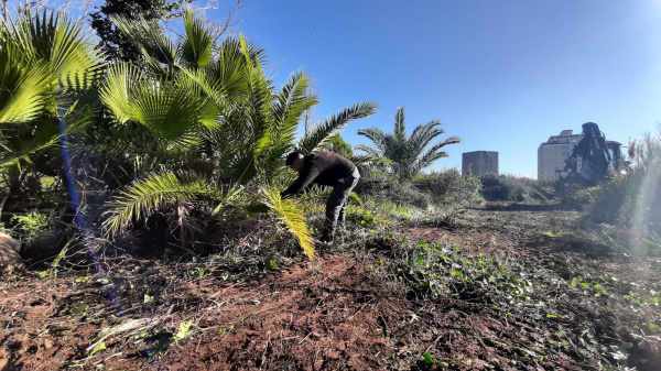 Burriana licita el mantenimiento de la jardiner�a del Clot de la Mare de D�u y de los prados costeros por 72.000 euros/a�o