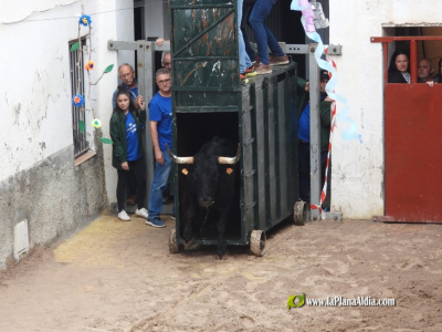 recta-final-de-las-fiestas-patronales-de-la-foya-de-l-alcalaten