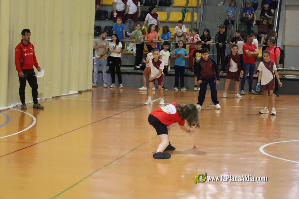 350 alumnes participen en la Trobada de Pilota Escolar a Tavernes de la Valldigna