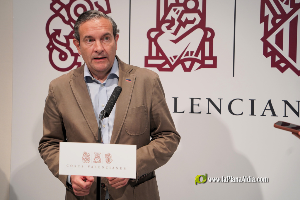 El PP acusa a Oltra de incongruencia al regresar a la primera l�nea y Elena Bastidas llevar� ante el Parlamento Europeo el caso de abusos en la Comunitat Valenciana