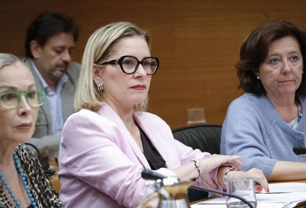 el-ppcv-aprueba-una-enmienda-para-desgravaciones-fiscales-a-familias-con-menores-con-discapacidad