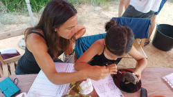 La quinzena edici� del Projecte Emys de l'Acci� Ecologista-Agr� conclou despr�s de censar 245 tortugues aut�ctones en 2025