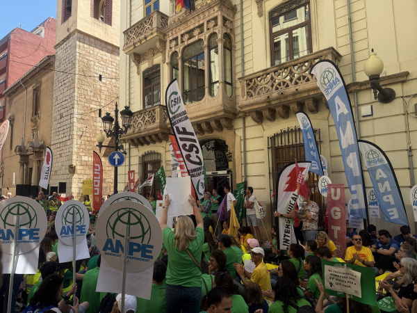 CSIF reclama más recursos y mejoras laborales para el profesorado en la concentración ante la Delegación del Consell en Castellón