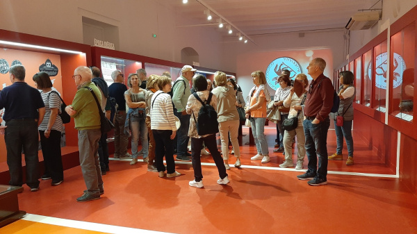 el-museo-arqueologico-municipal-de-burriana-celebrara-el-dia-internacional-de-los-museos-con-jornadas-de-puertas-abiertas-y-visitas-guiadas