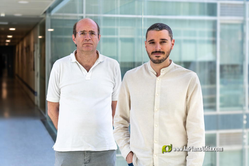 La UPV presenta la escala FMB para evaluar con mayor precisión el riesgo de fármacos en la conducción