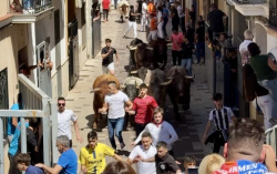 Almassora vibra amb un encierro multitudinari de bous cerrils