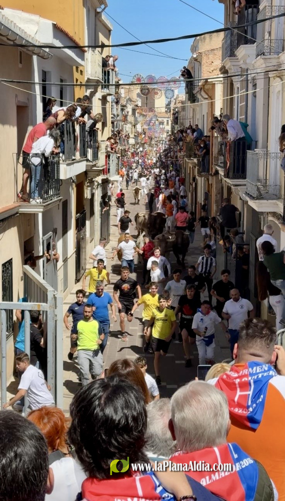 Almassora vibra amb un encierro multitudinari de bous cerrils