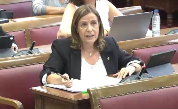 Castellón reclama en el Senado inversiones en carreteras que Sánchez niega a la provincia
