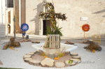 Borriana desperta plena de jardins de flors naturals