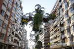 Borriana desperta plena de jardins de flors naturals