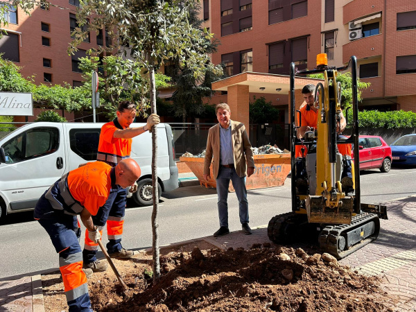 El govern municipal reforça la renaturalització de Castelló amb 2.145 arbres i noves plantacions