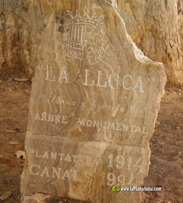Fotografia /Galeria/2026/5/262372_170141/3_M1.jpg