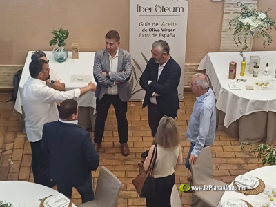 La Generalitat destina 2,9 milions d'euros a ajudes PAC a l'oliverar ecològic i tradicional aquest any