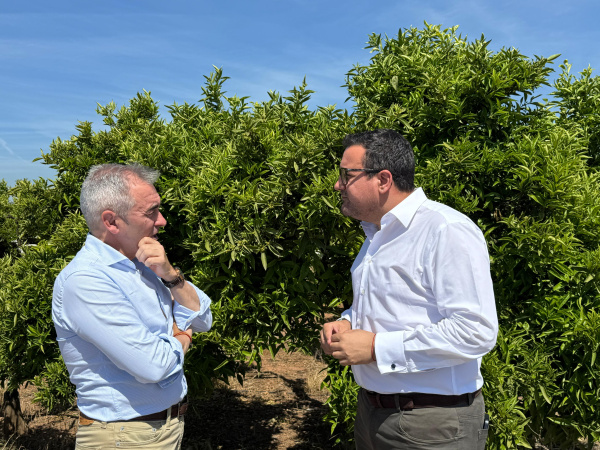 El PP de Vila-real pide a la Consellería de Agricultura impulsar la modernización del regadío en la zona Pinella 3