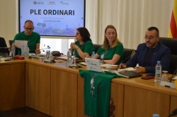 El Ple de Vila-real ha donat veu aquest dimarts als representants de l'Assemblea de Docents de Vila-real, que van acudir a la sessi� per exposar les seues reivindicacions i explicar els motius de la vaga educativa que est� a punt de culminar la tercera se