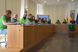 El Ple de Vila-real ha donat veu aquest dimarts als representants de l'Assemblea de Docents de Vila-real, que van acudir a la sessi� per exposar les seues reivindicacions i explicar els motius de la vaga educativa que est� a punt de culminar la tercera se
