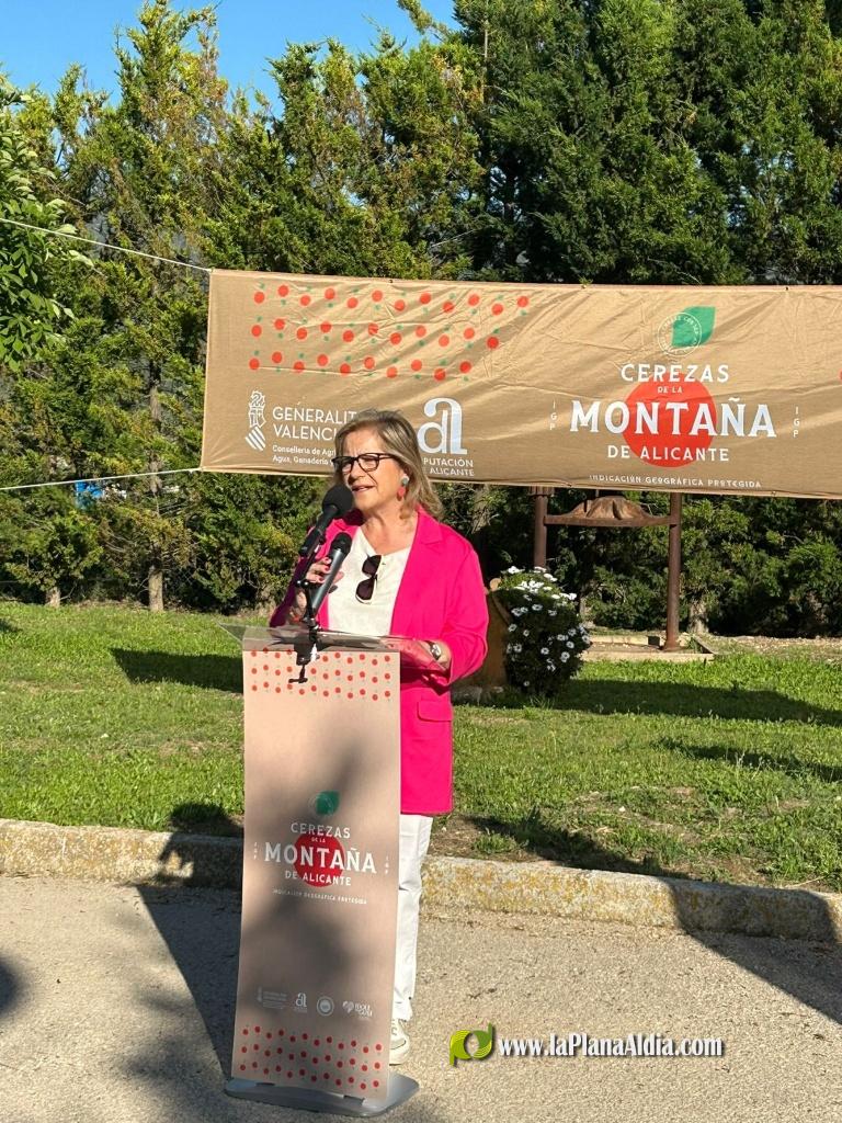 Agricultura destaca el valor de la cereza de la montaña de Alicante y refuerza su apoyo al sector con ayudas para garantizar su viabilidad