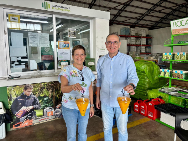 Almassora inicia reparto gratuito de trampas contra la mosca de la fruta