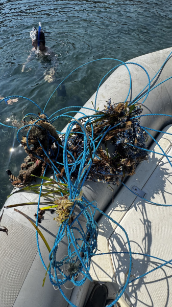 La nueva edición de MarPITIUS_26 amplía zonas de estudio y líneas de investigación sobre contaminación marina en Ibiza