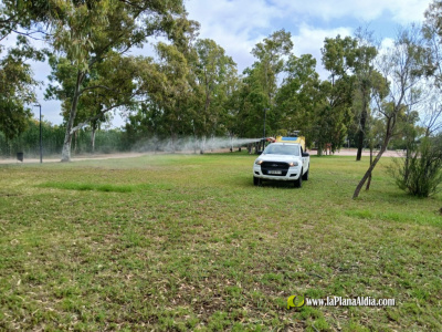 La Diputación de Castellón refuerza los tratamientos contra los mosquitos en las marjales litorales tras las últimas lluvias