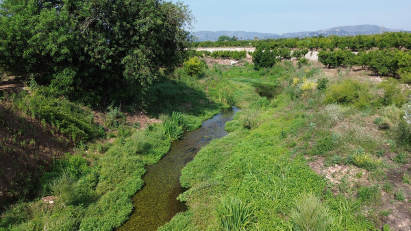 La CHJ impulsa la recuperació de la fauna i la flora autòctones al riu Vaca
