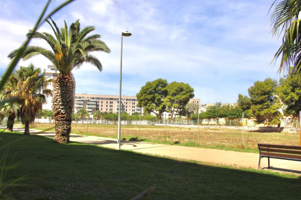 Castellón avanza en la limpieza de más de 115 parcelas entre municipales, privadas y de ejecución subsidiaria