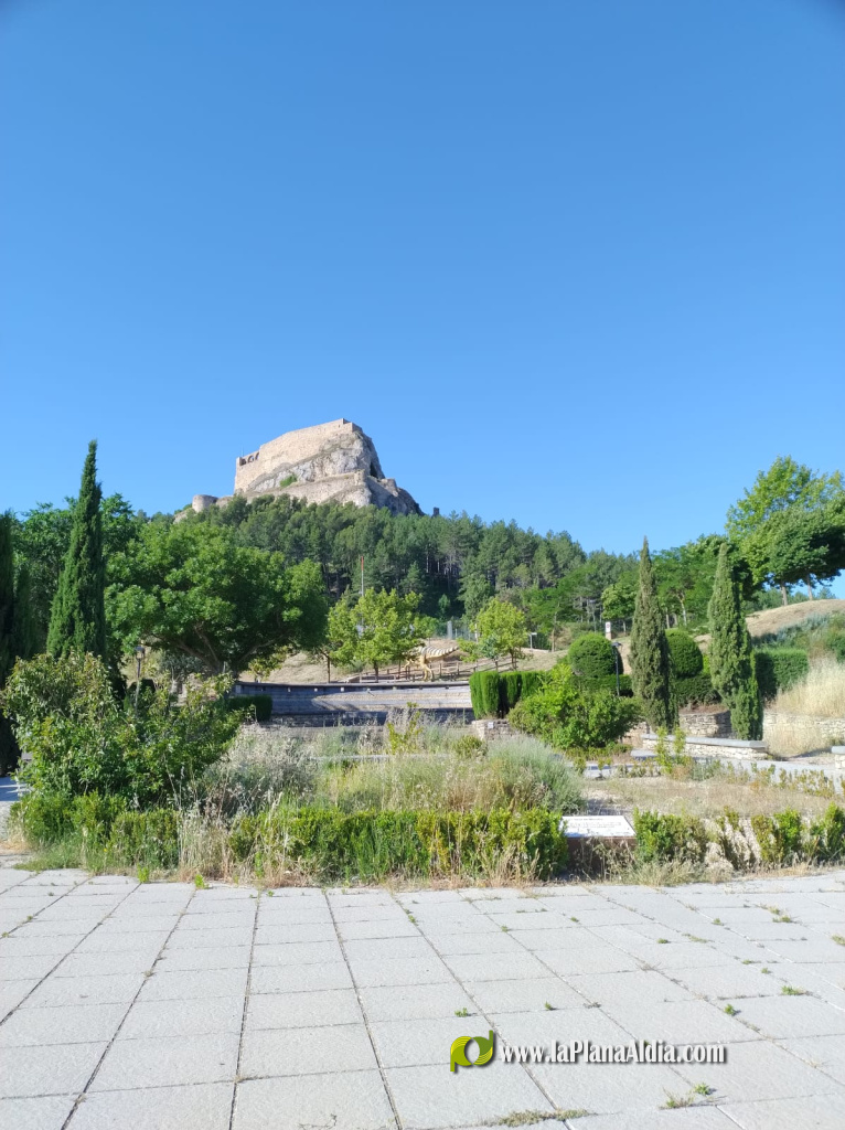El PSPV Morella solicita una actuación urgente de mantenimiento, mejora y dignificación del Jardín del Recuerdo ante su deterioro
