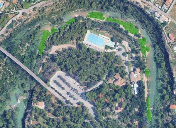 vila-real-avanza-en-la-recuperacion-ambiental-del-millars-con-una-nueva-actuacion-de-restauracion-de-habitats-fluviales-en-el-termet