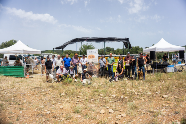 ares-del-maestrat-acoge-la-xix-edicion-del-concurso-de-perros-pastores-con-gran-participacion