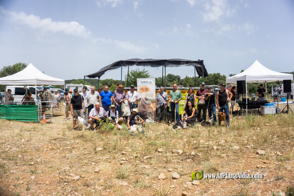 Ares del Maestrat acoge la XIX edición del Concurso de Perros Pastores con gran participación