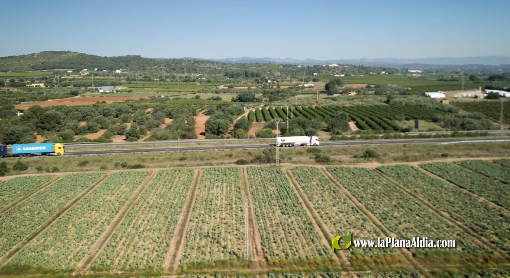 Baix Maestrat Impulsa arranca como motor de oportunidades para la comarca