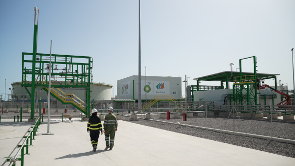 BP e Iberdrola estudian ampliar la producción de hidrógeno verde en Castellón con fondos IPCEI