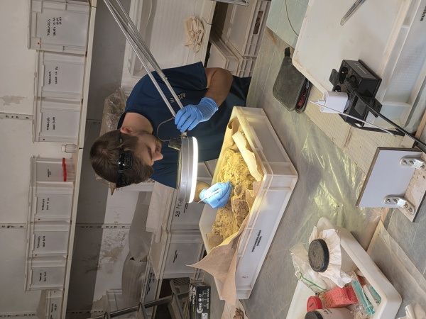 La UJI y el MAMBU lanzan una formación en arqueología funeraria en el yacimiento del Palau