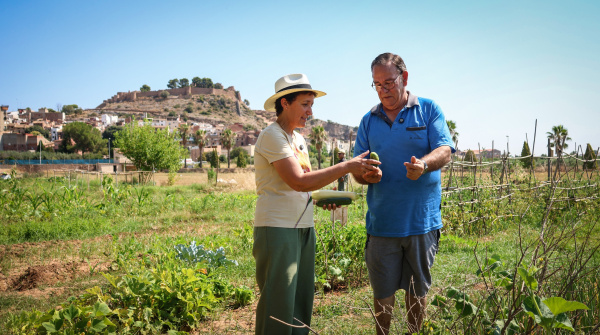 Onda amplía los Huertos Intergeneracionales ante la alta demanda de vecinos