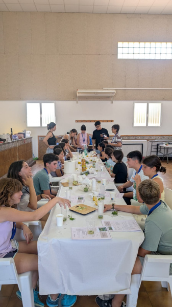 La Mancomunitat Alt Maestrat celebra la I Jornada de Jóvenes para impulsar el mundo rural