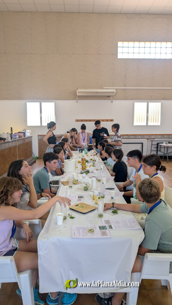 La Mancomunitat Alt Maestrat celebra la I Jornada de Jóvenes para impulsar el mundo rural