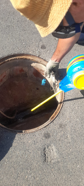 Fuentes - Control de Plagas inicia desratización en Rossell para prevenir roedores en espacios públicos