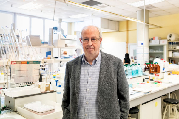 València y la UPV lideran una investigacion sobre quimioterapia dirigida que potencia el tratamiento y reduce la toxicidad