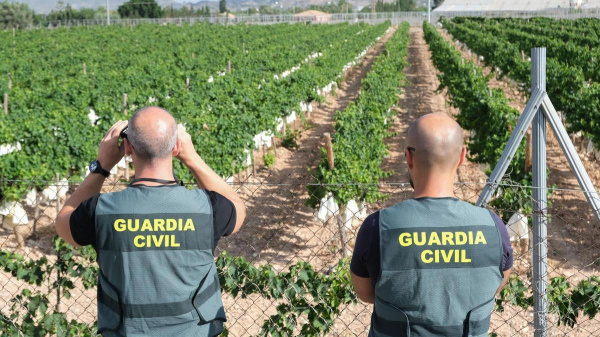 La Unió Llauradora i Ramadera: los robos en el campo valenciano bajan un 30% en 2025, pero el esclarecimiento cae un 35%