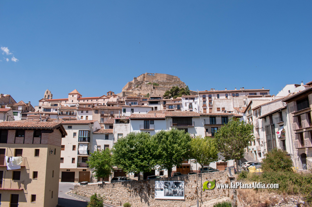 Morella reduce el periodo de pago a proveedores a 11,27 días y sitúa el PMP del conjunto en 28,8 días