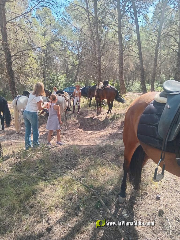 Numerosos caballos de la provincia en Alcora gracias al Club H�pic La Ferradura