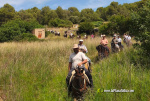 Numerosos caballos de la provincia en Alcora gracias al Club H�pic La Ferradura