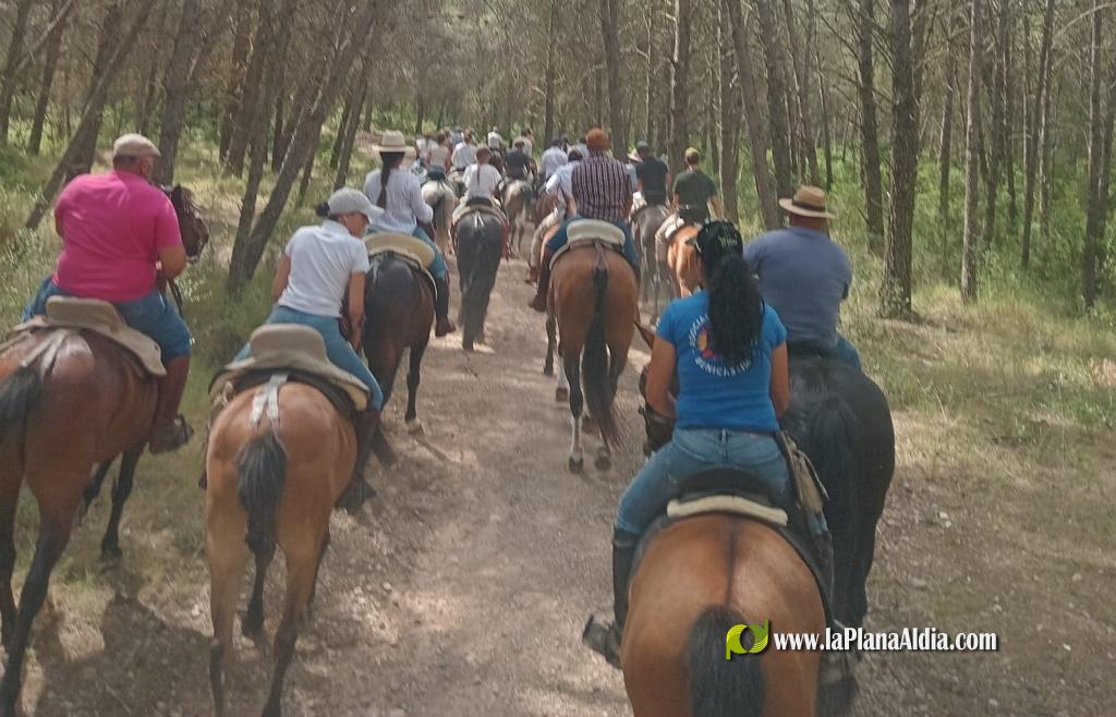Numerosos caballos de la provincia en Alcora gracias al Club H�pic La Ferradura