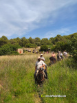 Numerosos caballos de la provincia en Alcora gracias al Club H�pic La Ferradura