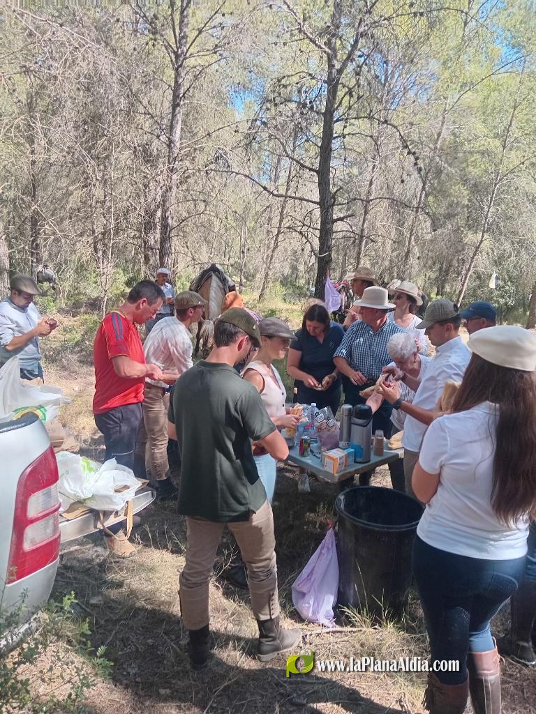 Numerosos caballos de la provincia en Alcora gracias al Club H�pic La Ferradura