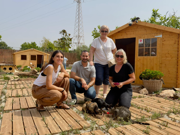 L'Alcora impulsa un pioner centre municipal de protecció felina