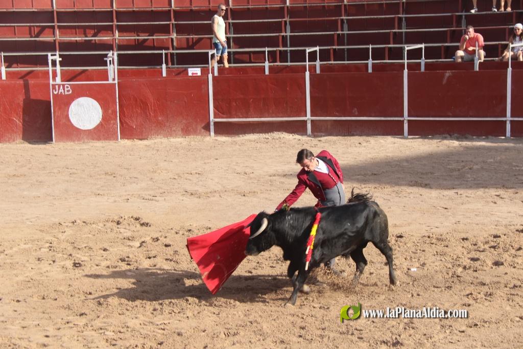 Debut con picadores del novillero alcorino Ian Bermejo en la plaza de toros de Vilafranca el 1 de agosto